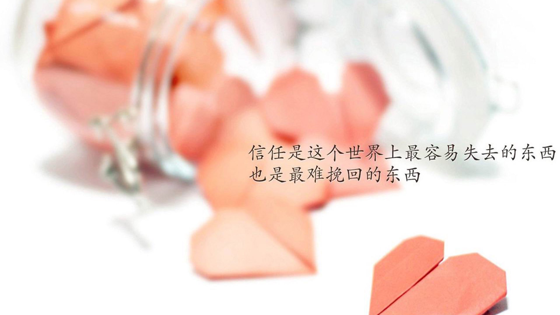 九游娱乐APP-_体育与公益联动：运动助力社会进步_，关于体育的公益项目